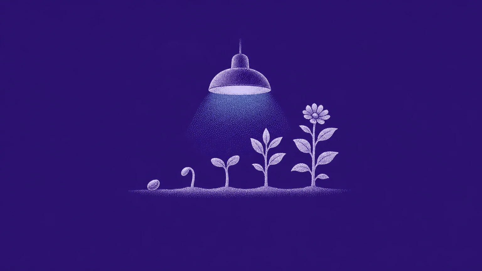Lead nurturing v1