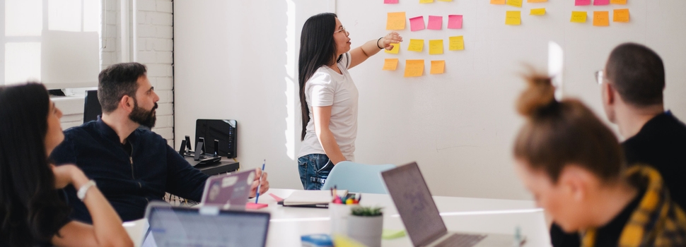 Project software planning